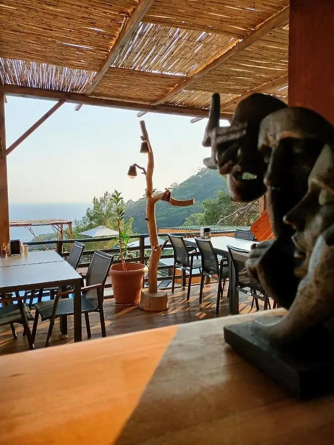 Tree Houses Hotel Fethiye