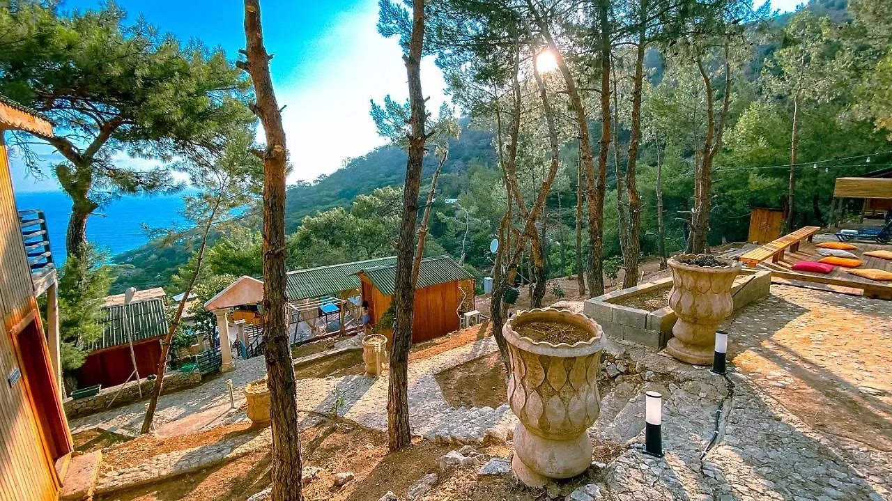 Tree Houses Hotel Fethiye