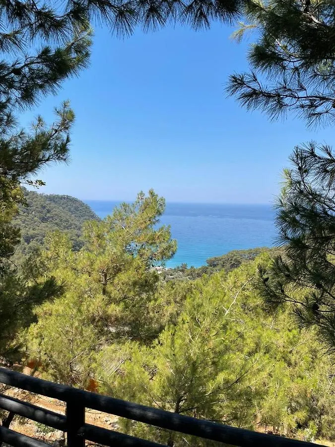 Tree Houses Hotel Fethiye