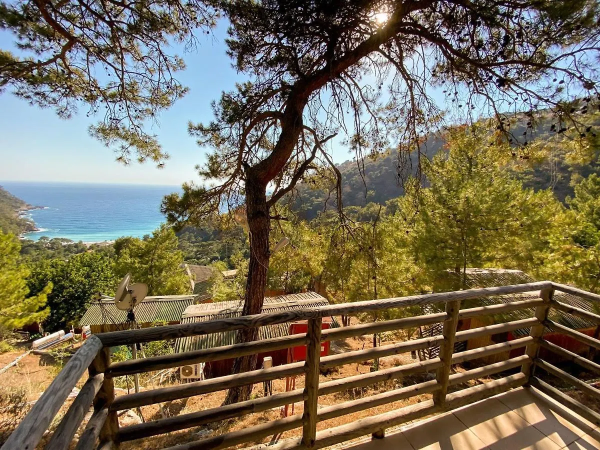 Tree Houses Hotel Fethiye Turkey