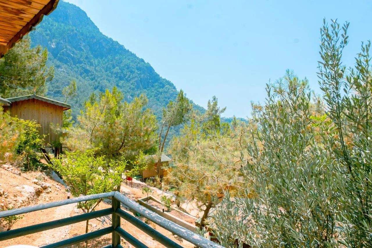 Tree Houses Hotel Fethiye
